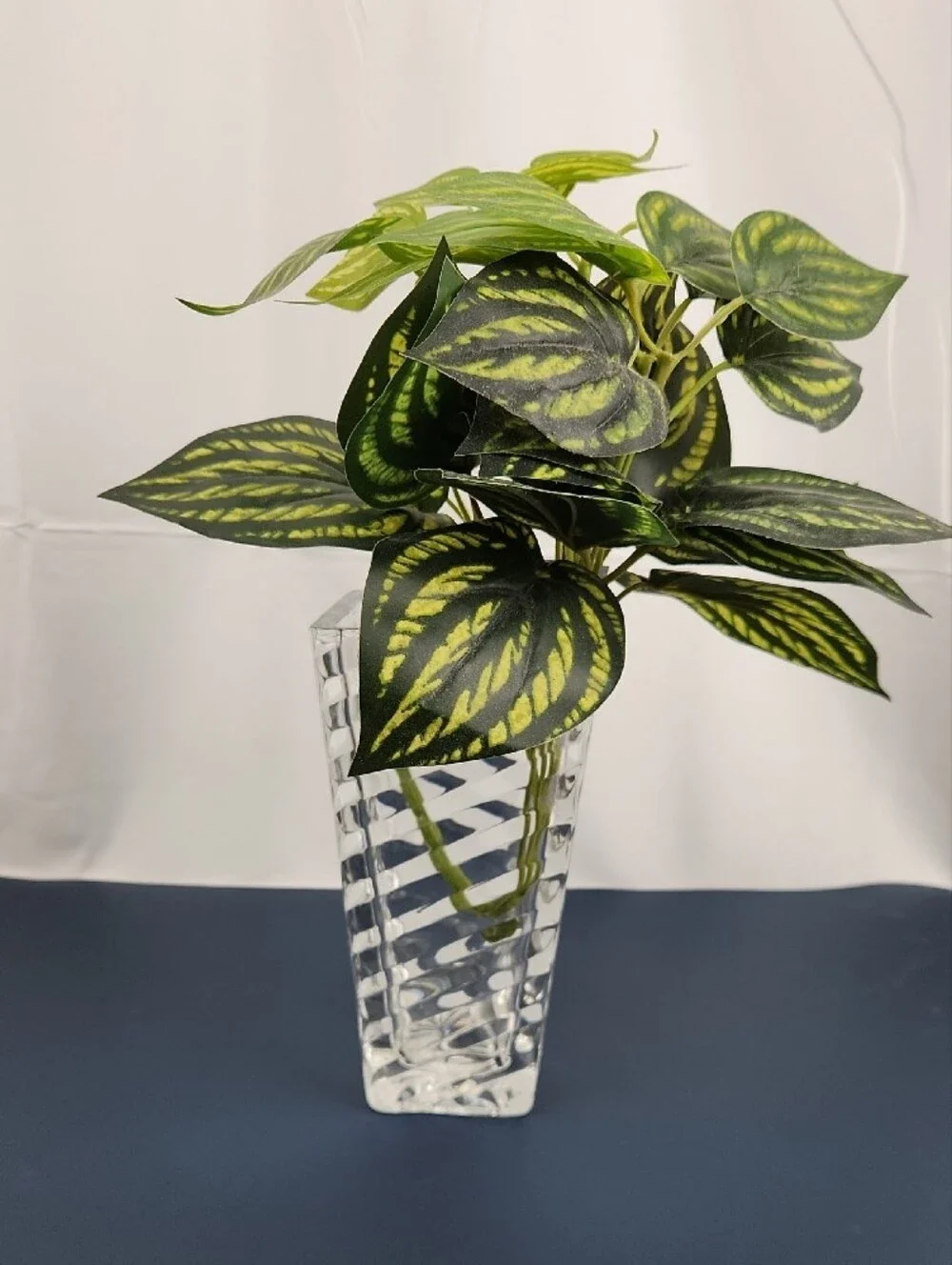 Clear Sleek Diagonal Graduating Level Glass Vase - Home Accents